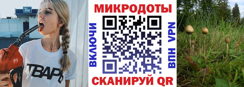omg рабочий сайт  Буй  Псилоцибиновые грибы Psilocybine cubensis  как найти  